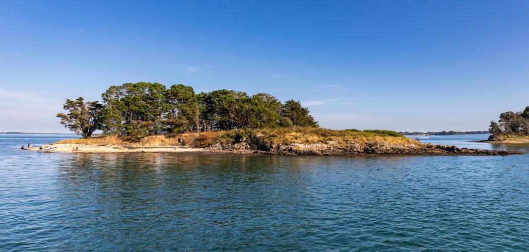 Visiter Vannes et ses alentours en Bretagne sud